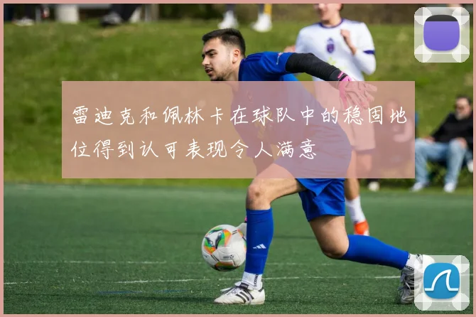 雷迪克和佩林卡在球队中的稳固地位得到认可表现令人满意