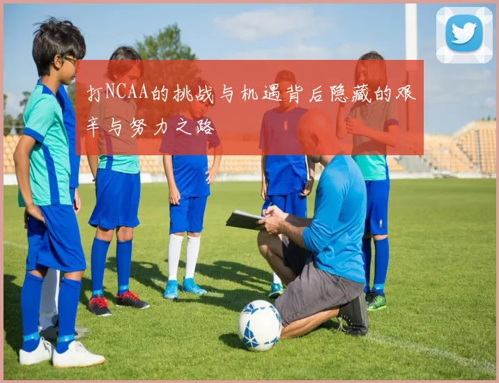 打NCAA的挑战与机遇背后隐藏的艰辛与努力之路
