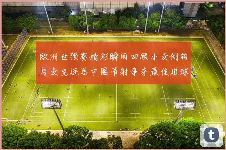 欧洲世预赛精彩瞬间回顾小麦倒钩与麦克连恩中圈吊射争夺最佳进球