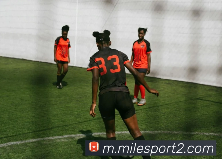 米乐体育品牌故事